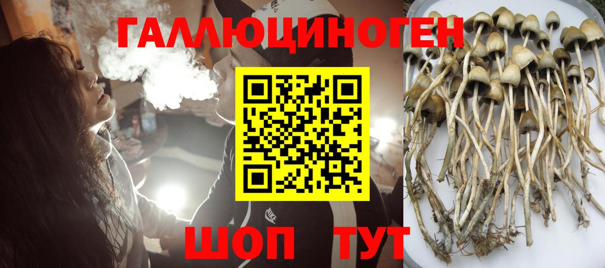 Галлюциногенные грибы мицелий  Вход с VPN  Салехард 