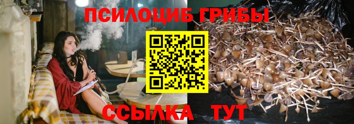 Галлюциногенные грибы ЛСД Салехард